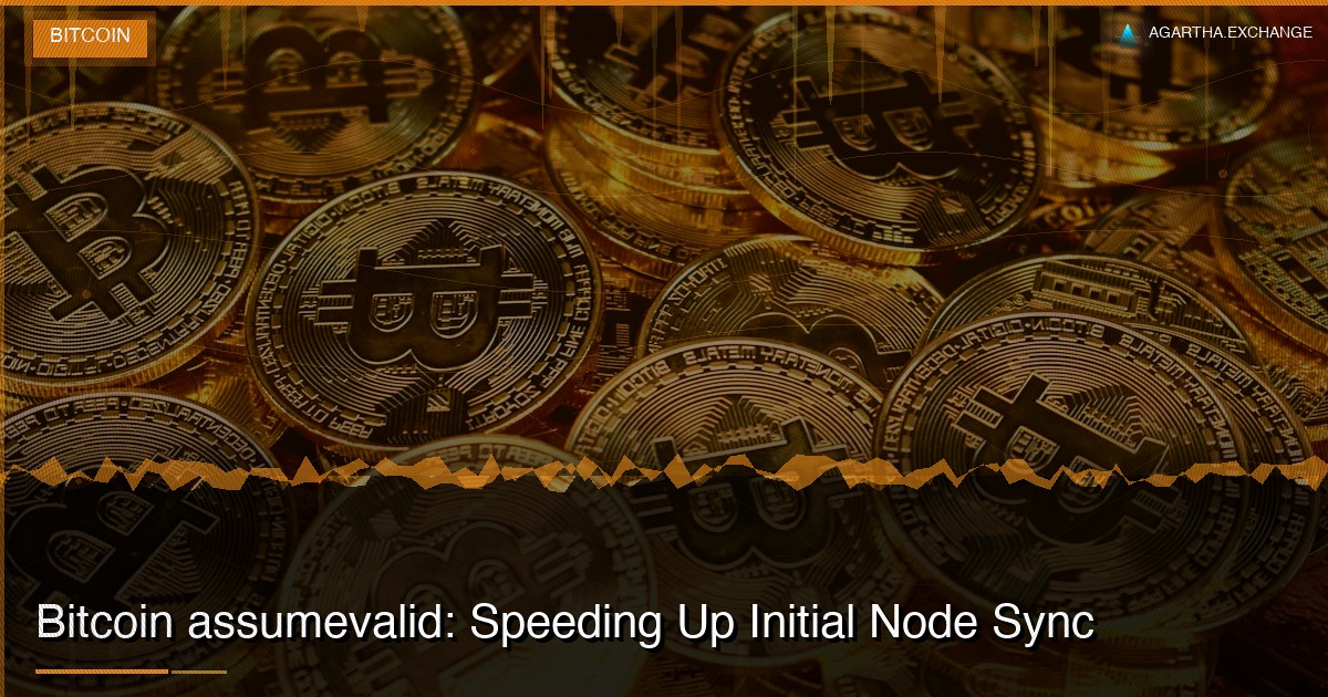 Bitcoin assumevalid: Speeding Up Initial Node Sync