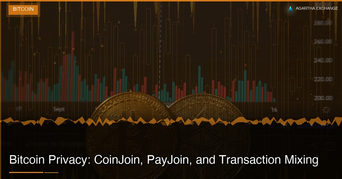 Bitcoin Privacy: CoinJoin, PayJoin, and Transaction Mixing