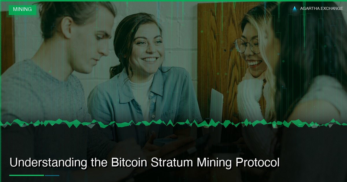 Understanding the Bitcoin Stratum Mining Protocol