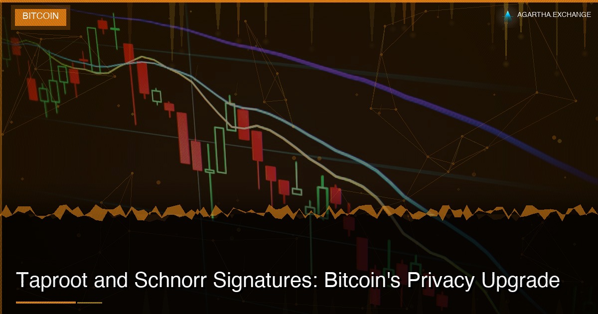 Taproot and Schnorr Signatures: Bitcoin's Privacy Upgrade