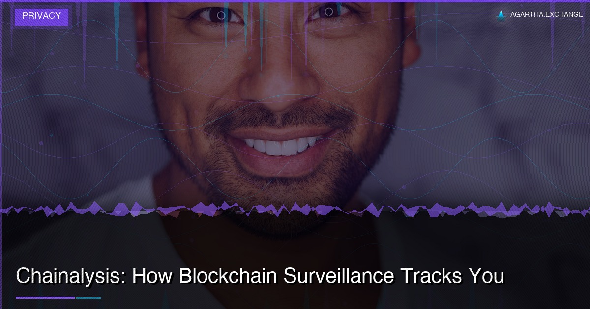 Chainalysis: How Blockchain Surveillance Tracks You