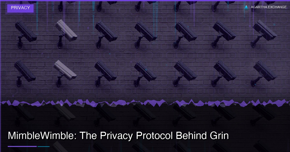 MimbleWimble: The Privacy Protocol Behind Grin