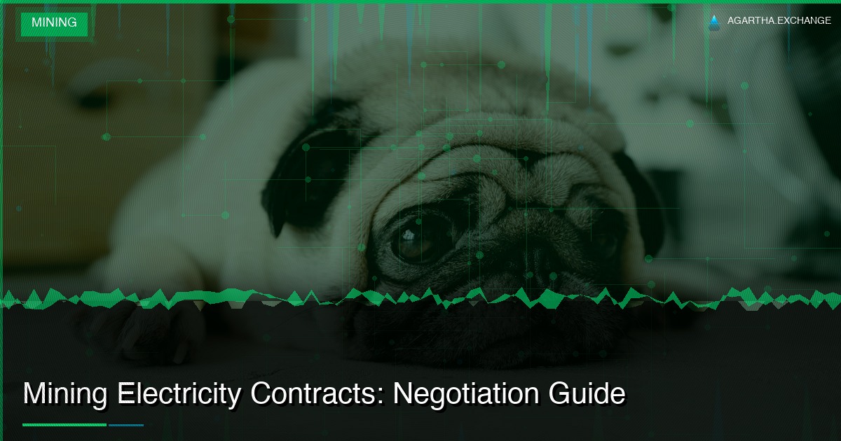 Mining Electricity Contracts: Negotiation Guide