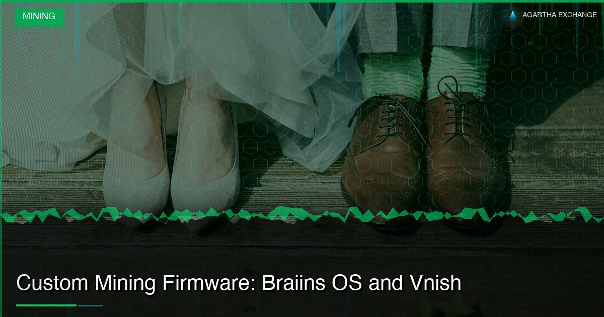 Custom Mining Firmware: Braiins OS and Vnish