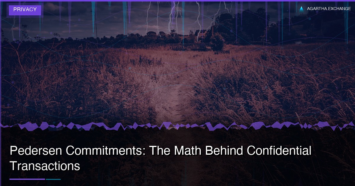 Pedersen Commitments: The Math Behind Confidential Transactions