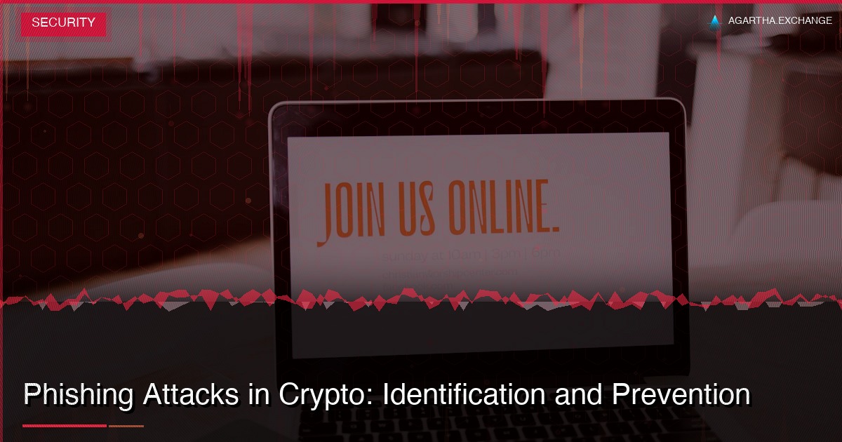 Phishing Attacks in Crypto: Identification and Prevention