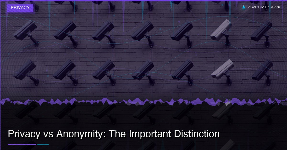 Privacy vs Anonymity: The Important Distinction