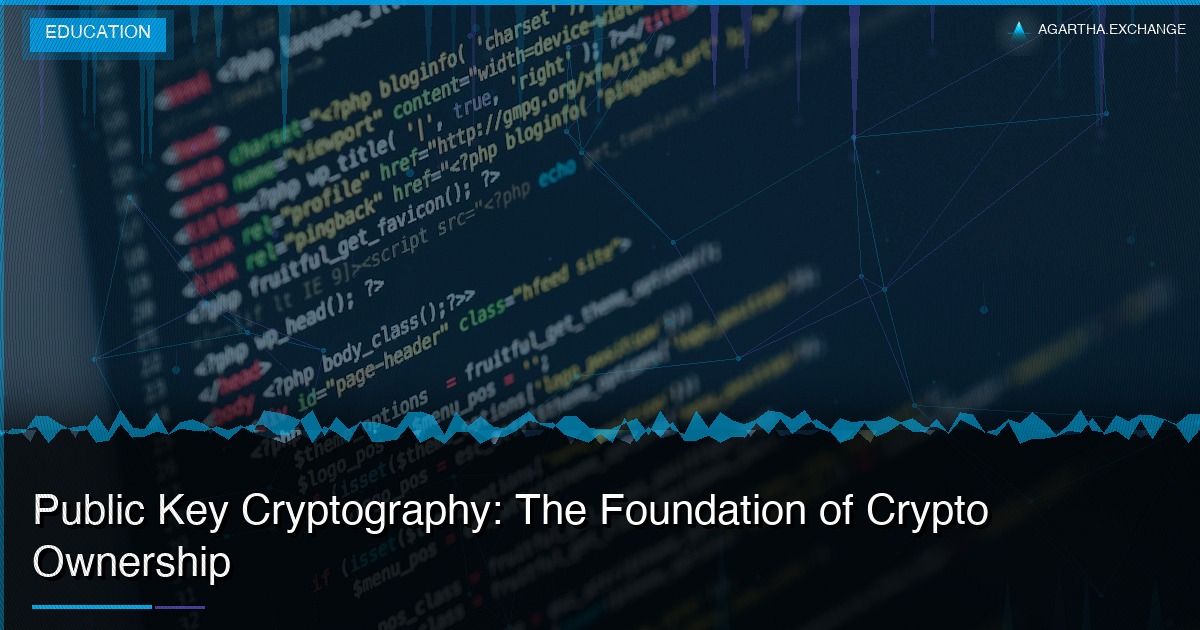 Public Key Cryptography: The Foundation of Crypto Ownership