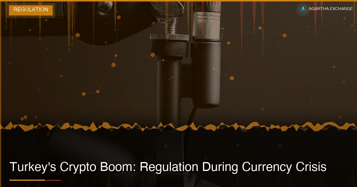 Turkey's Crypto Boom: Regulation During Currency Crisis