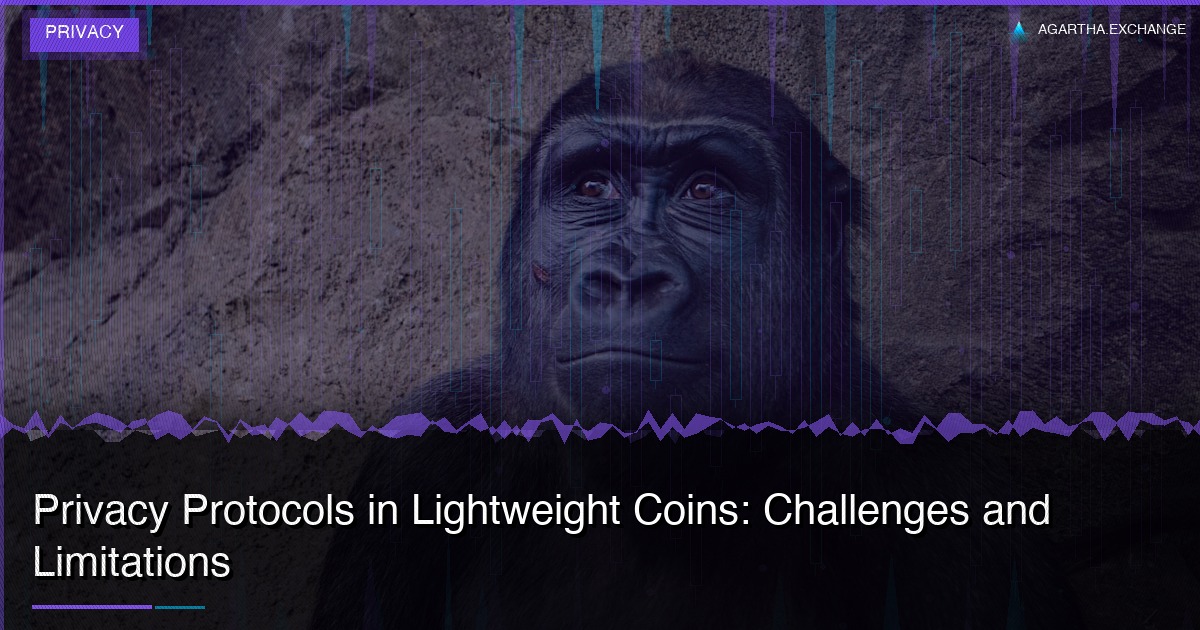 Privacy Protocols in Lightweight Coins: Challenges and Limitations